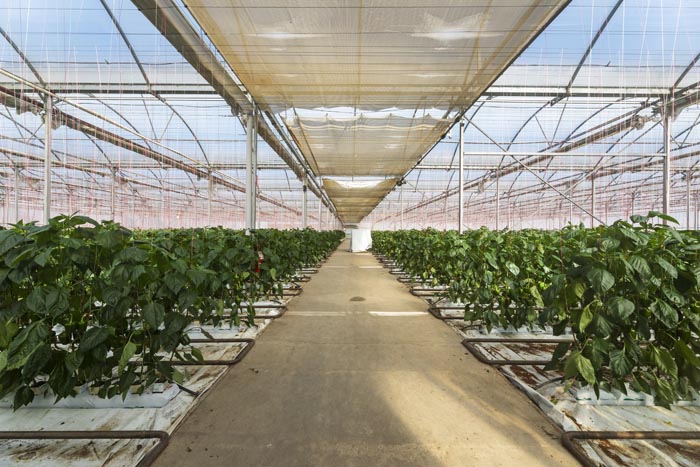 Rural property image 2