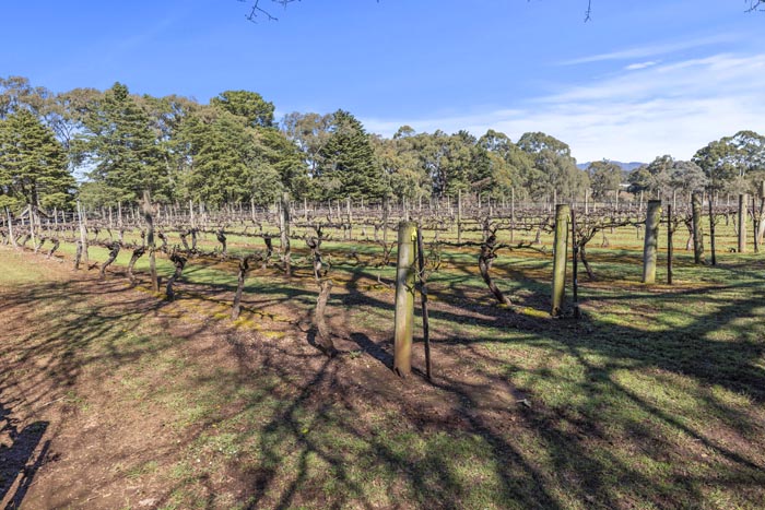 Rural property image 7