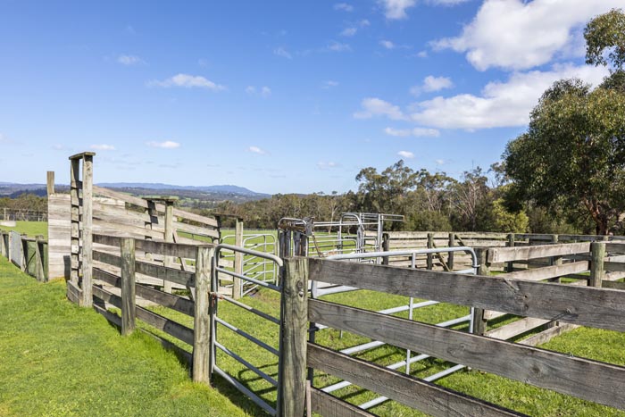 Rural property image 8